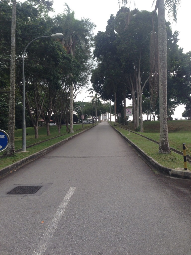 Hill repeats here but do not feed the monkeys. They have enough food in the forest.